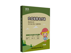 穴位贴敷治疗贴-小儿消食贴