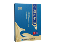 穴位贴敷治疗贴（10贴装/盒）