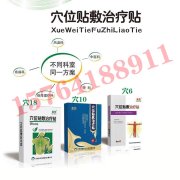 穴位贴敷治疗贴 山东朱氏药业