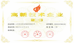 集团公司荣获“高新技术企业”奖！